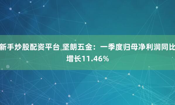 新手炒股配资平台 坚朗五金：一季度归母净利润同比增长11.46%