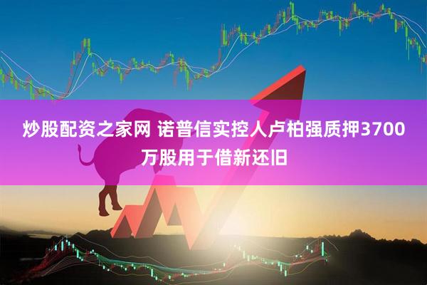 炒股配资之家网 诺普信实控人卢柏强质押3700万股用于借新还旧