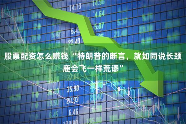 股票配资怎么赚钱 “特朗普的断言，就如同说长颈鹿会飞一样荒谬”