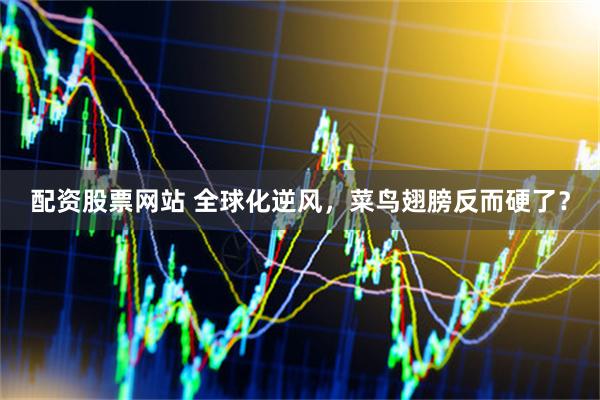 配资股票网站 全球化逆风，菜鸟翅膀反而硬了？