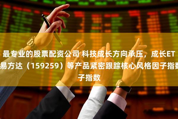 最专业的股票配资公司 科技成长方向承压，成长ETF易方达（159259）等产品紧密跟踪核心风格因子指数