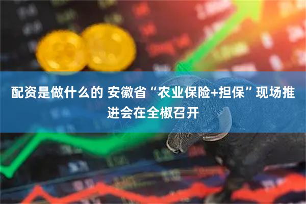 配资是做什么的 安徽省“农业保险+担保”现场推进会在全椒召开