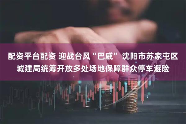 配资平台配资 迎战台风“巴威” 沈阳市苏家屯区城建局统筹开放多处场地保障群众停车避险